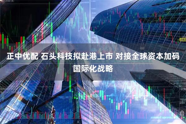 正中优配 石头科技拟赴港上市 对接全球资本加码国际化战略