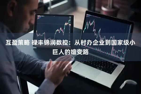 互盈策略 禄丰锦润数控：从村办企业到国家级小巨人的嬗变路