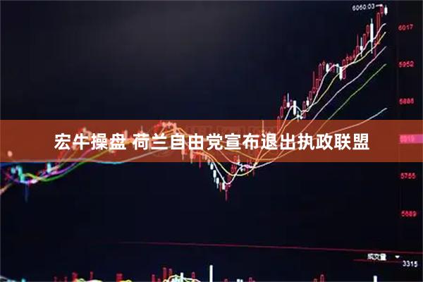 宏牛操盘 荷兰自由党宣布退出执政联盟