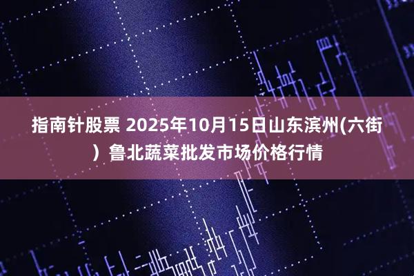 指南针股票 2025年10月15日山东滨州(六街）鲁北蔬菜批发市场价格行情