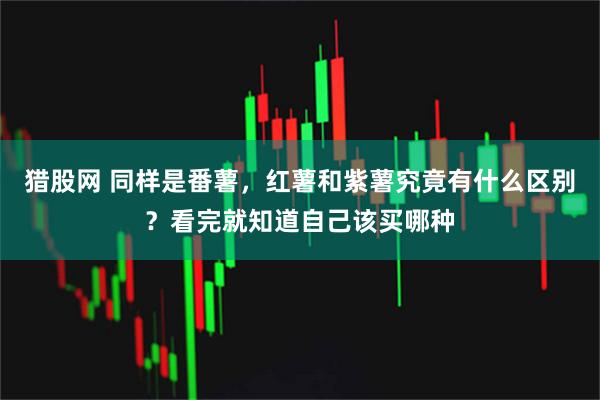 猎股网 同样是番薯,红薯和紫薯究竟有什么区别?看完就知道自己该买哪种